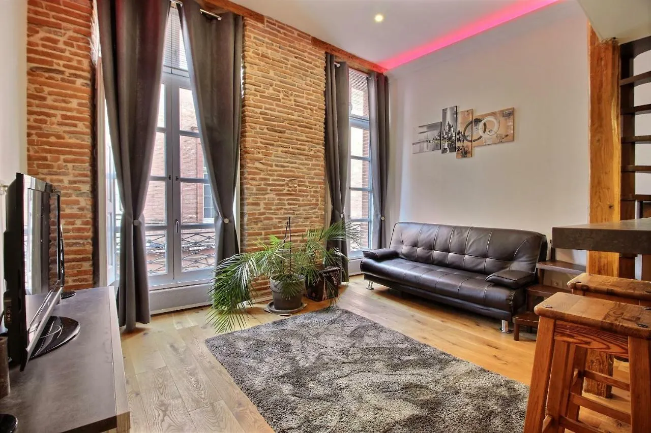 Toulouse Duplex Place Du Capitole Apartment